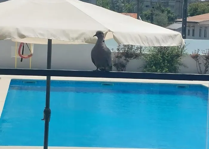 酒店 Monte Lirio 埃斯平霍