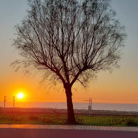 Monte Lirio Espinho (Aveiro)